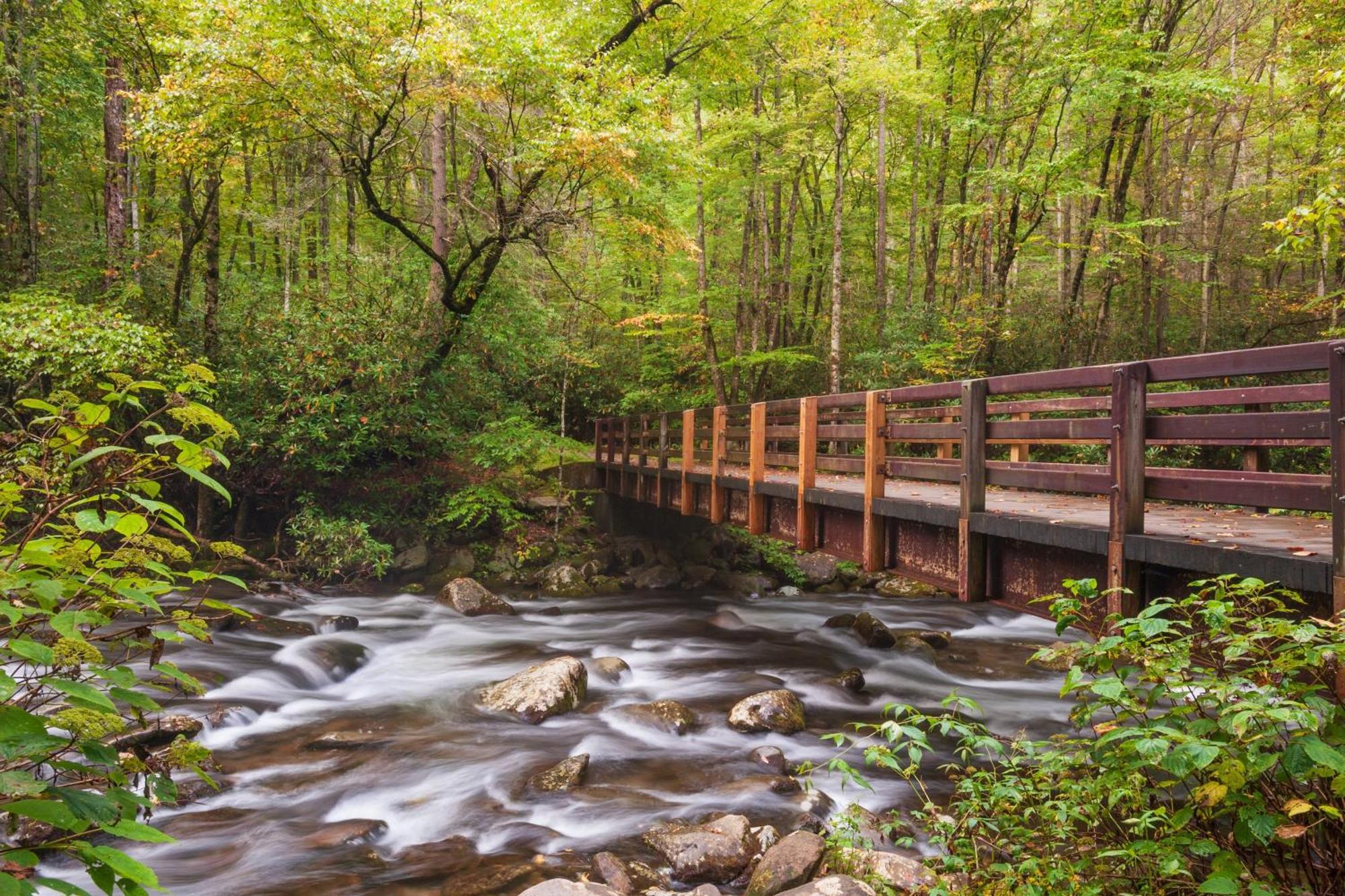 Always And Forever-1089 Of Free Area Attraction Tickets For Each Paid Day, Dollywood And More!!! Pigeon Forge Eksteriør bilde
